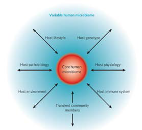 인체 핵심 미생물체와 인체와의 관계