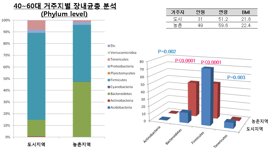 Phylum level에서 40~60대의 거주지에 따른 장내 미생물의 군집구성.