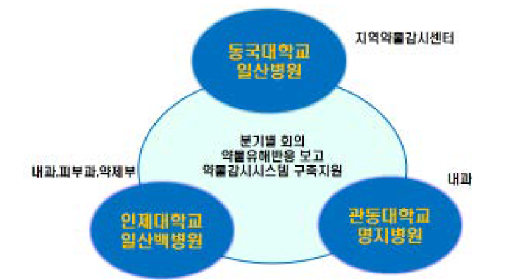 Regional pharmacovigilance network in Goyangsi