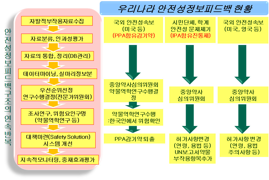 국내 안전성정보피드백 현황.