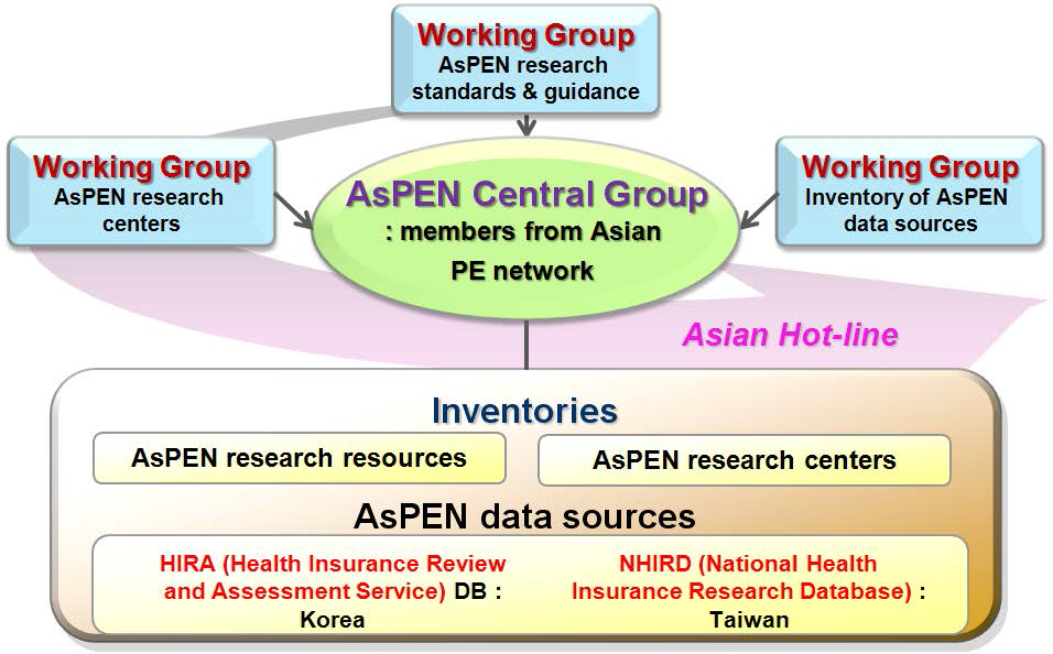 아시아약물감시네트워크(AsPEN) 조직 구축 방안.