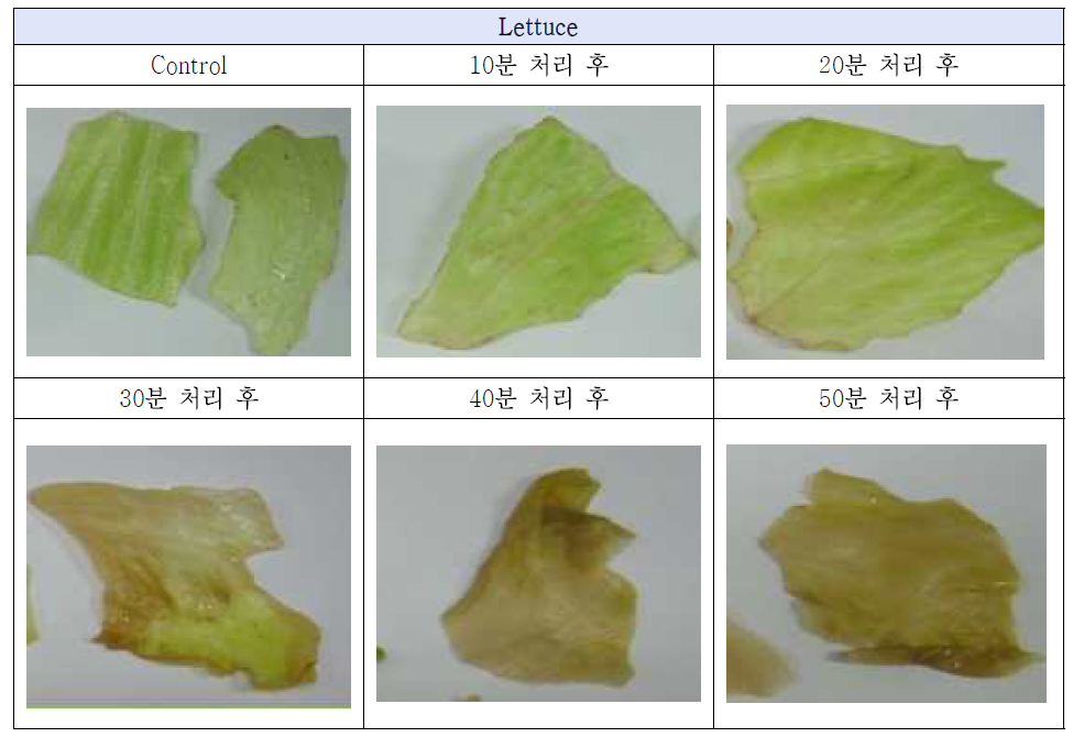 Color of lettuce before (control) and after treated with ultrasound for 10, 20, 30, 40, 50 min after 7 days storage at 4 ℃
