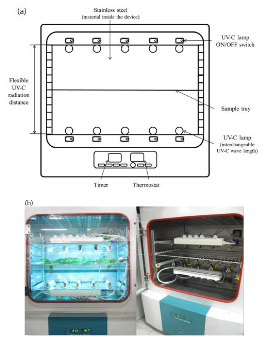 UV 시스템 자제 제작 및 구축 (a, UV 시스템 모식도; b, UV 시스템 사진)