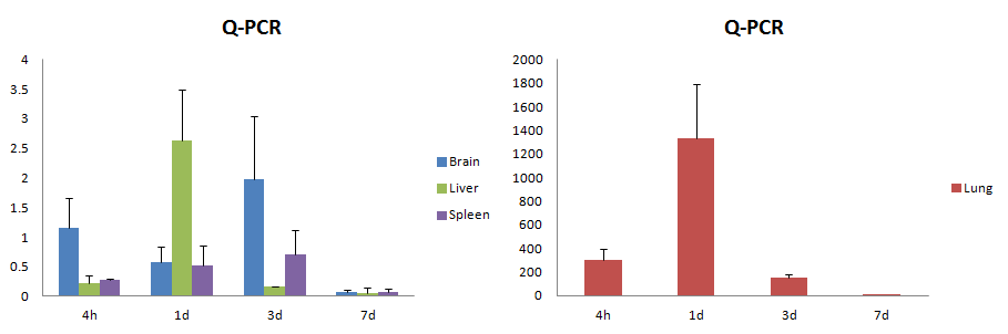 Q-PCR data