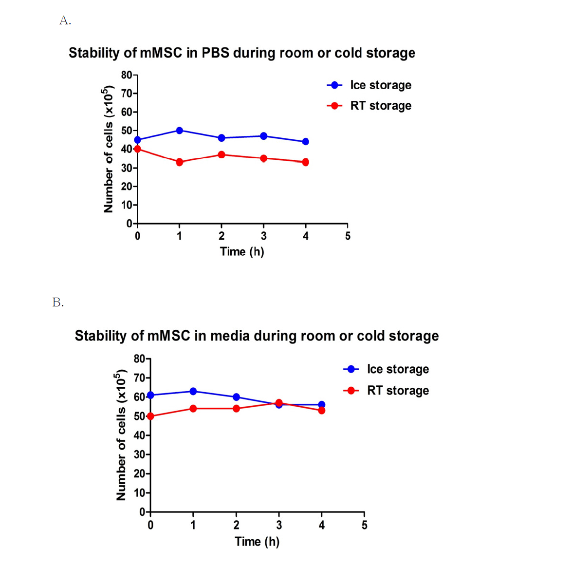 Stability of mesenchymal stem cells from ICR mouse