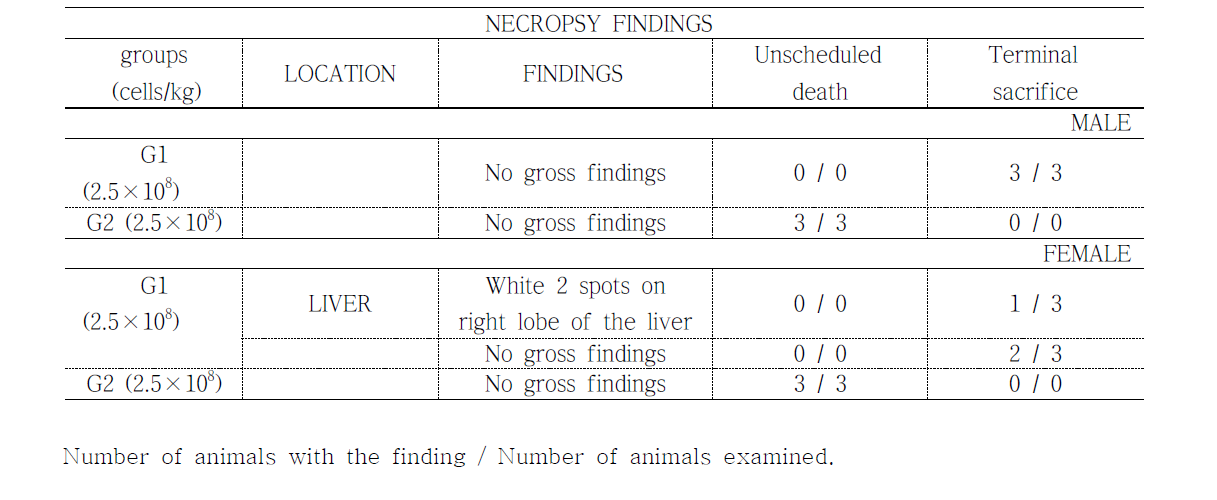 Necropsy findings