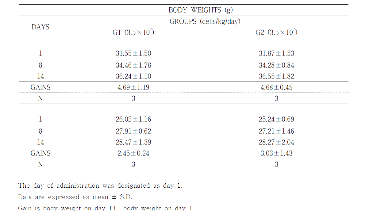 Body weights