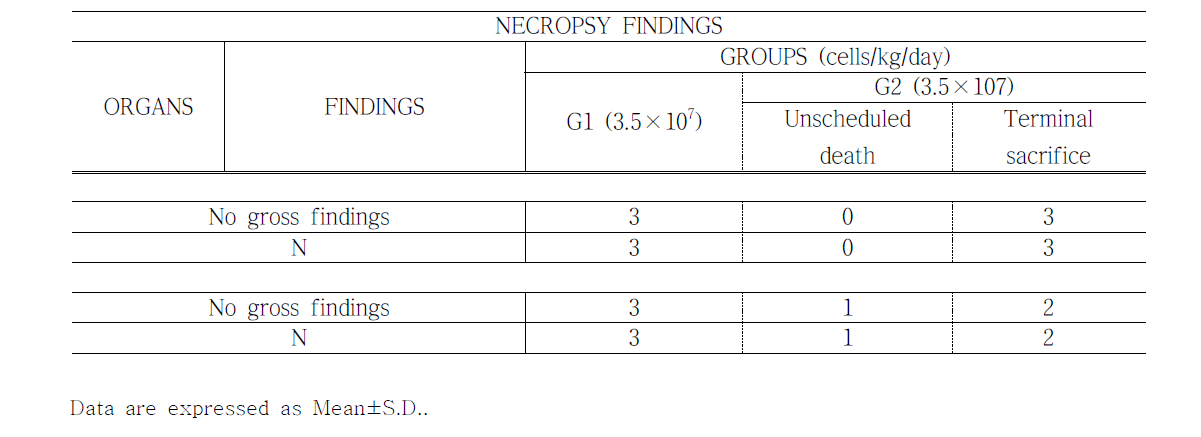 Necropsy findings