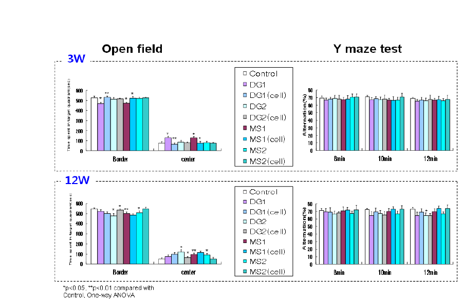 흰쥐 대뇌 해마DG 부위 및 대뇌 기저부 MS로의 기계적 정위 단회 및 2회 반복 주입 3, 12주후 Open field 검사 및 Y형 미로 검사.