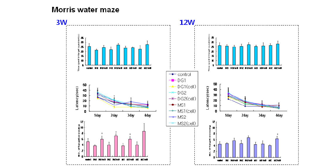 흰쥐 대뇌 해마 DG 부위 및 대뇌 기저부 MS로의 기계적 정위 단회 및 2회 주입 3, 12주 후 모리스 수중 미로 검사.