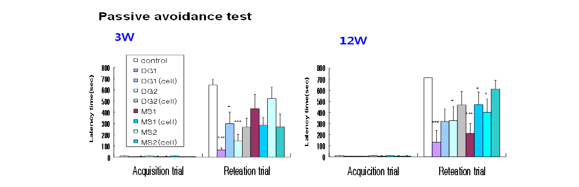 흰쥐 대뇌 해마 DG 부위 및 대뇌 기저부 MS로의 기계적 정위 단회 및 2회 주입3, 12주 후 수동 회피 검사.