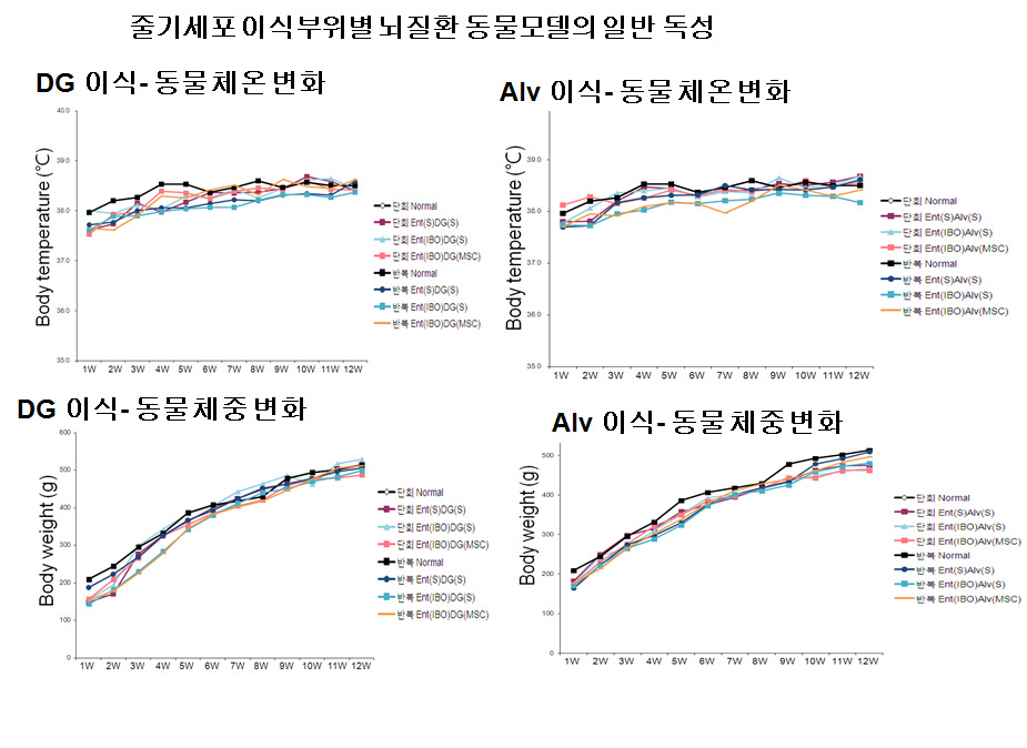 줄기세포의 단회 및 반복 투여 후 12W 동안 몸무게, 체온 등 확인