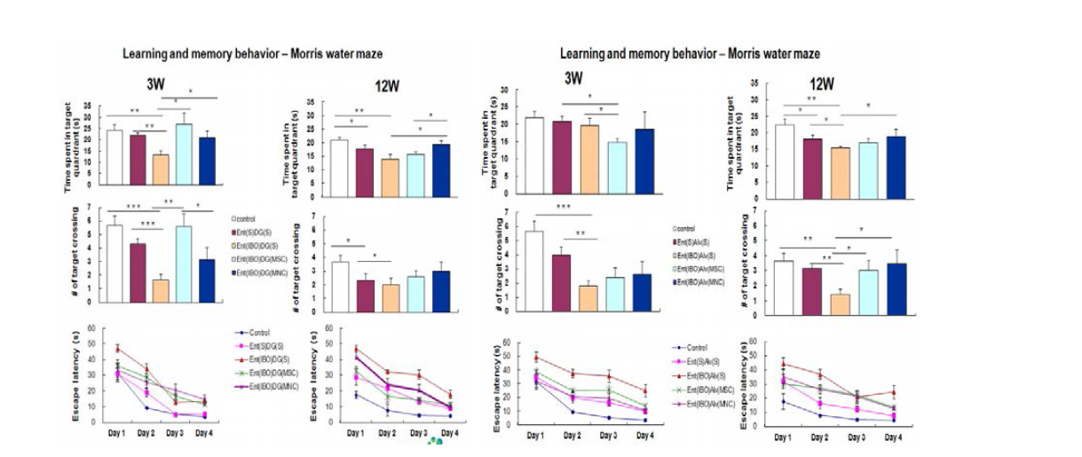 공간 지각 능력 검사-Morris Water Maze (왼쪽 DG부위, 오른쪽 Alv부위)*p<0.05, **p<0.01, ***p<0.001 compared with Control, One-way ANOVA