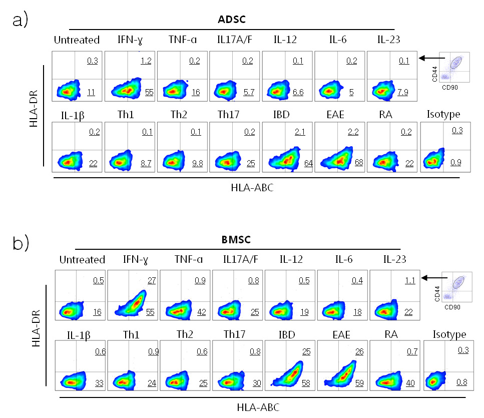 Expression of HLA-ABC and HLA-DR on the human MSC treated by the cytokines.