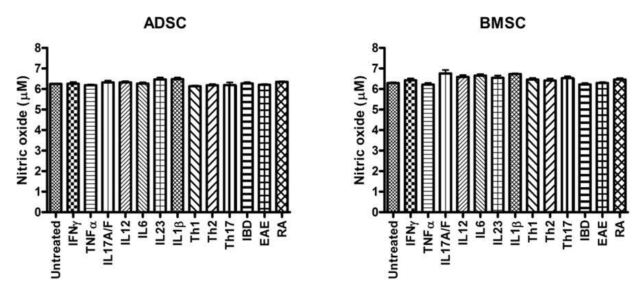 Production of nitric oxide in the human MSC treated by the cytokines