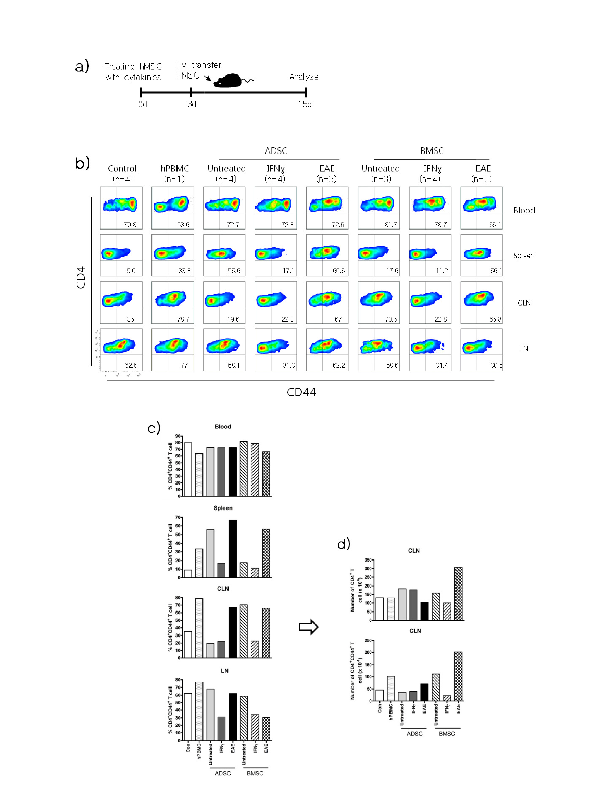 Activation of CD4 T cell in various tissue of mouse transferred by iv injection of human MSC.