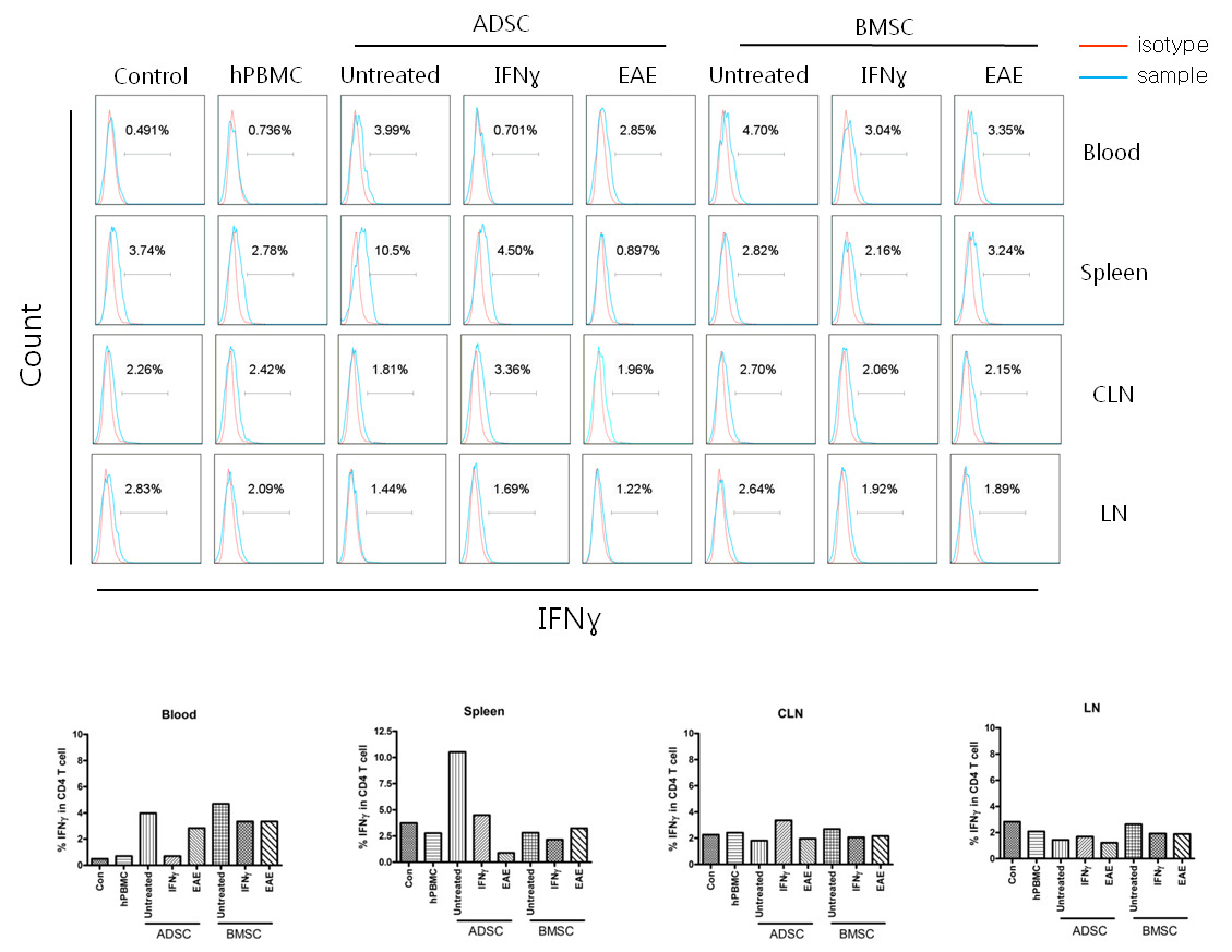 Expression of IFNγ from CD4 T in the various tissue of mouse transferred by i.v. injection of human MSC.