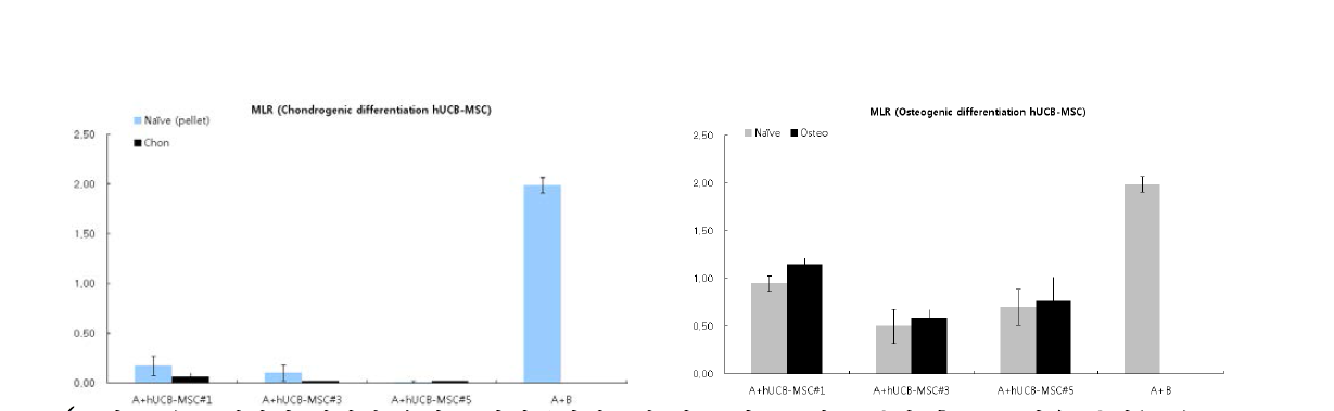 공여자별 제대혈 유래 중간엽줄기세포의 연골 및 골 세포 분화 후 MLR반응 분석(3종)