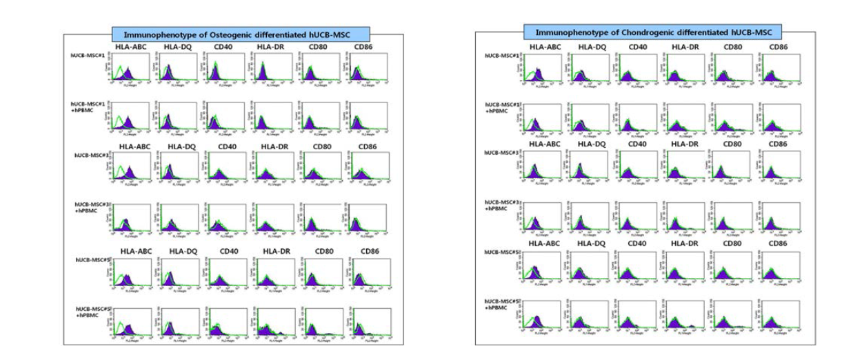 공여자별 제대혈 유래 중간엽줄기세포의 연골 및 골 세포 분화 후 표면항원 분석(3종)