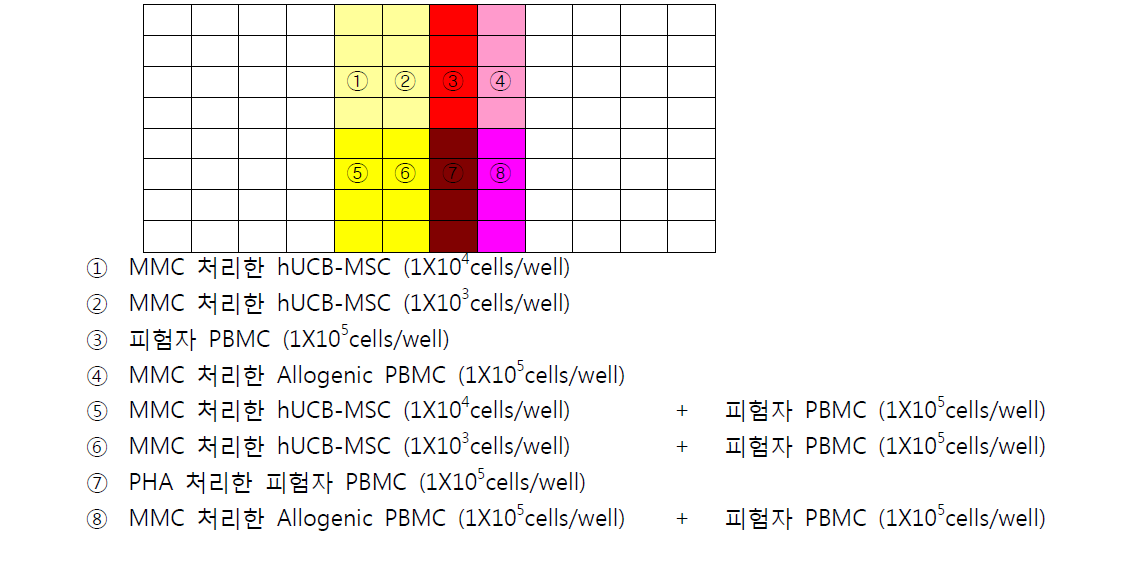 96 well plate