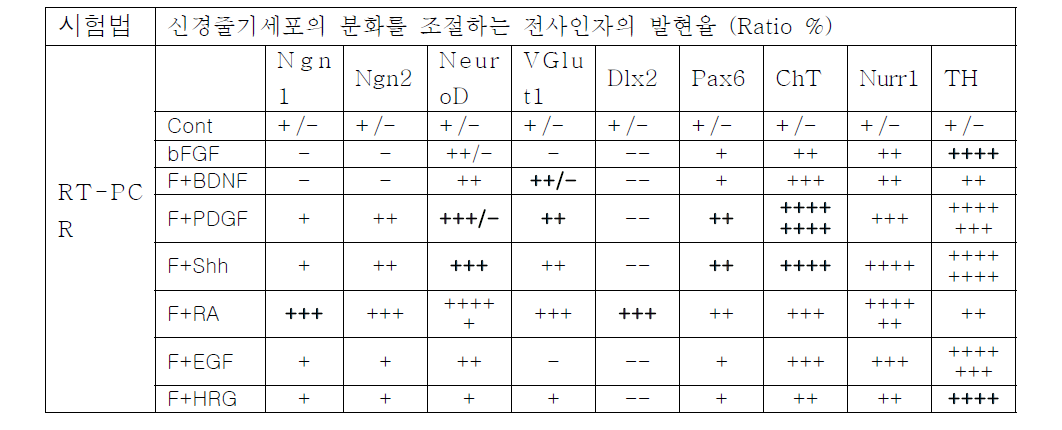 특정세포로의 분화를 조절하는 전사인자의 mRNA 발현율을 RT-PCR로 평가함.