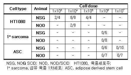 세포 유형에 따른 종양형성 효율 분석