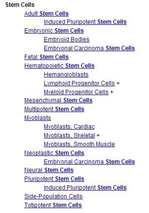 stem cell의 MeSH 계층구조