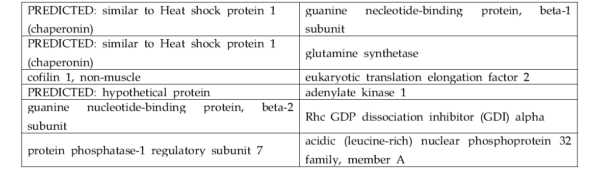 혈장에 크기와 상관없이 ZnO(-), ZnO(+) 나노입자에 모두 반응하지 않고 어느 하나에만 결합하는 단백질 리스트