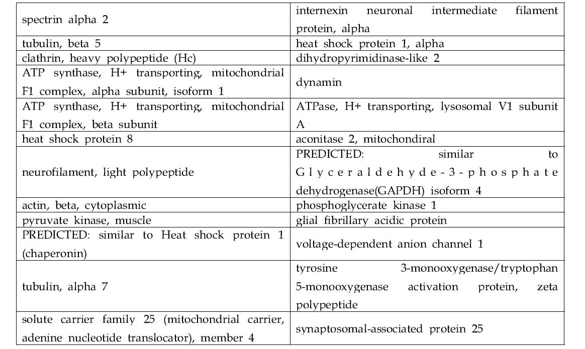 뇌균질액에서 존재하는 단백질 중에 ZnOSM20,(-), ZnOAE100,(-) 나노입자에 모두 결합하는 단백질 리스트