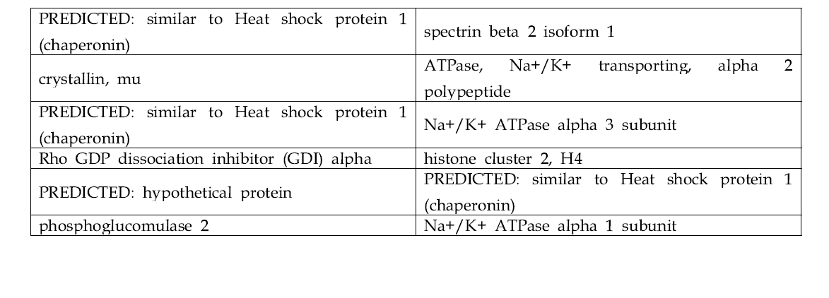 뇌균질액에서 ZnOSM20,(-), ZnOAE100,(-) 나노입자에 모두 반응하지 않고 어느 하나에만 결합하는 단백질 리스트