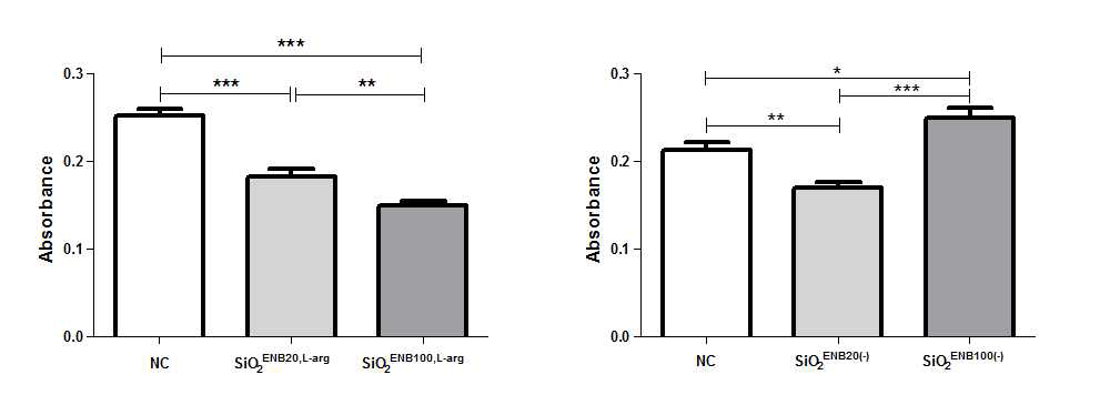 SiO2 나노물질을 투여한 mouse의 비장에서 추출한 B 세포의 증식능 측정