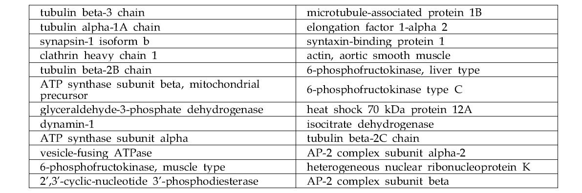 뇌 균질액에서 SiO2ENB20,(-)와 SiO2ENB100,(-)에 공통적으로 결합한 단백질 리스트