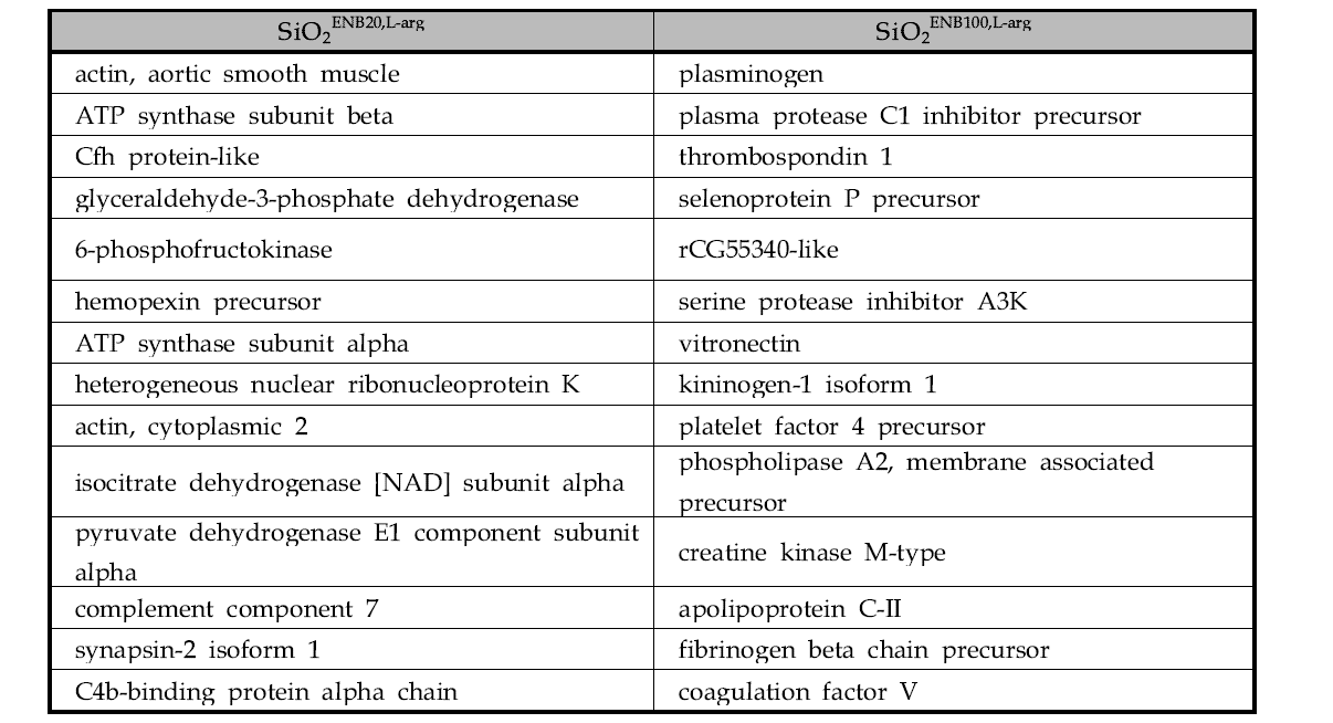 혈액에서 SiO2ENB20,L-arg와 SiO2ENB100,L-arg에 특이적으로 결합한 단백질 리스트