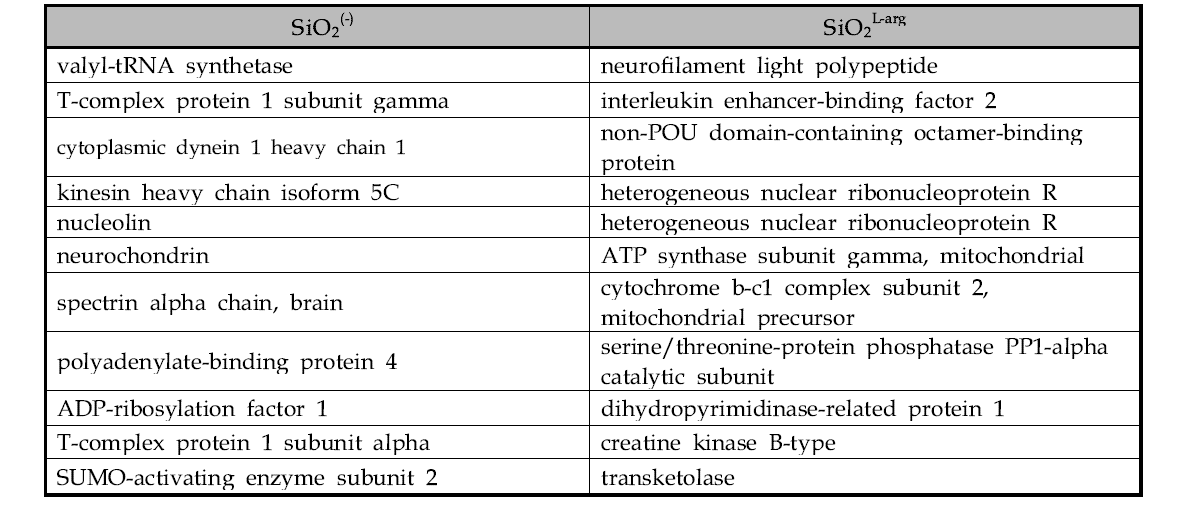 뇌 균질액에서 SiO2ENB100,(-), SiO2ENB100,L-arg에 특이적으로 결합한 단백질 리스트