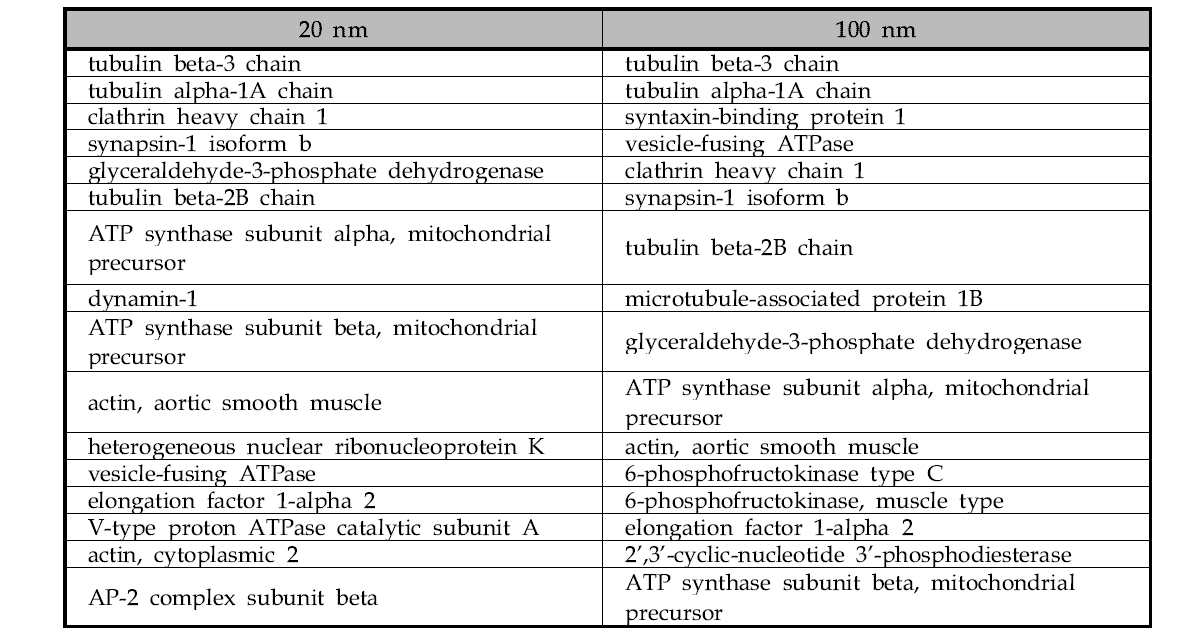 뇌 균질액에서 ZnO(-)와 SiO2(-)에 공통적으로 결합한 단백질 리스트