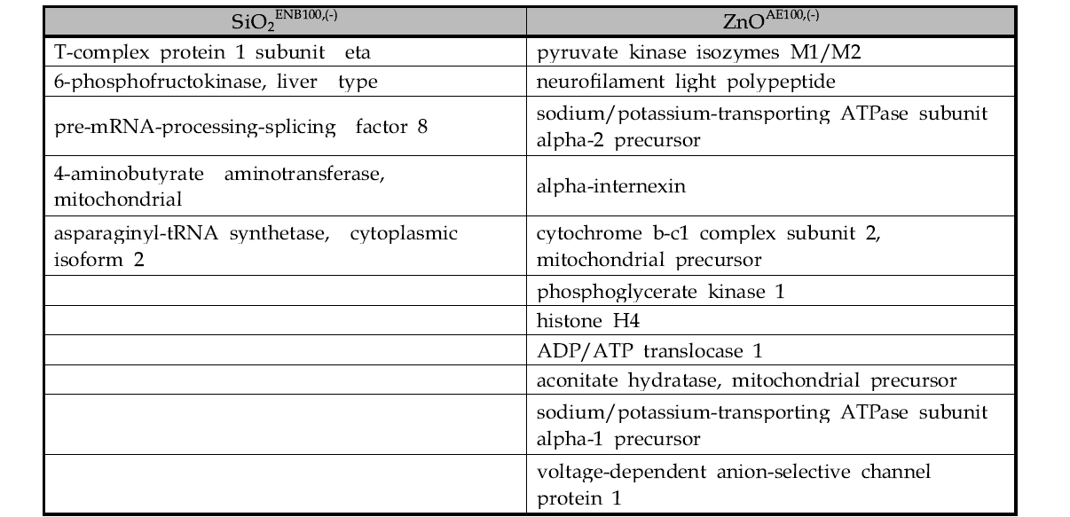뇌 균질액에서 ZnOAE100,(-)와 SiO2ENB100,(-)에 특이적으로 결합한 단백질 리스트.