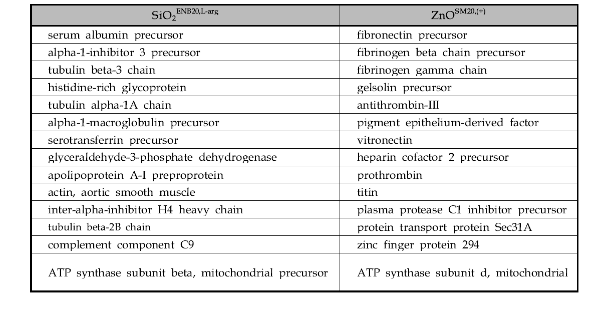 혈장에서 ZnOSM20,(+)와 SiO2ENB20,L-arg에 특이적으로 결합한 단백질 리스트
