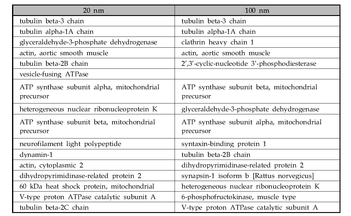 뇌 균질액에서 ZnO(+)와 SiO2L-arg에 공통적으로 결합한 단백질 리스트