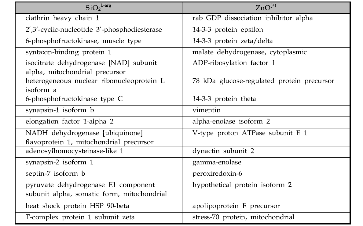 뇌 균질액에서 ZnOSM20,(+)와 SiO2ENB20,L-arg에 특이적으로 결합한 단백질 리스트