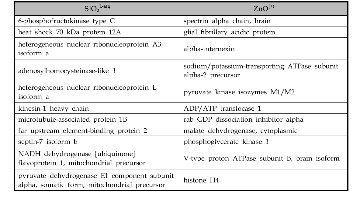 뇌 균질액에서 ZnOAE100,(+)와 SiO2ENB100,L-arg에 특이적으로 결합한 단백질 리스트.
