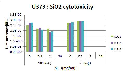 SiO2ENB100,(-)및 SiO2ENB20,(-)에 의한 피부세포주 viability 분석