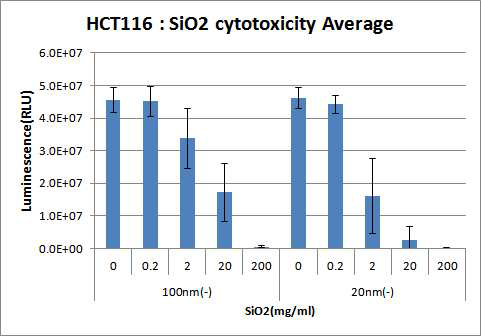SiO2ENB100,(-)및 SiO2ENB20,(-)에 의한 GI tract 세포주 viability 분석
