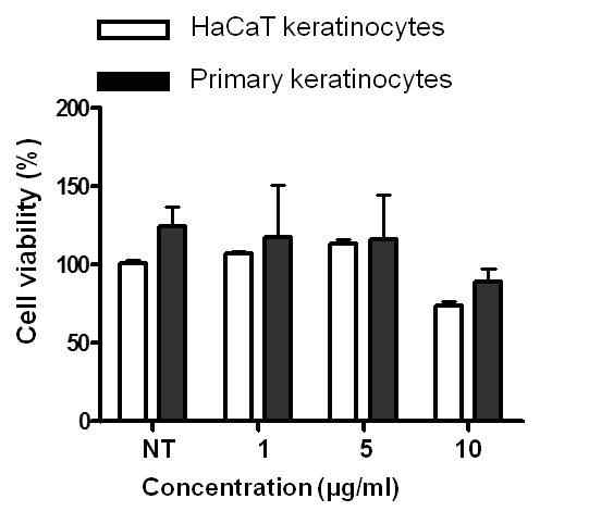 primary keratinocyte에서 나노물질에 의한 세포독성 결과
