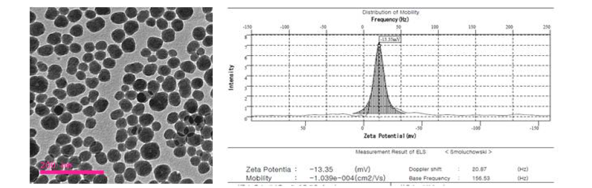 형광 실리카 SiO2ENB20,(-),RITC의 TEM 사진 및 Zeta potential 스펙트럼