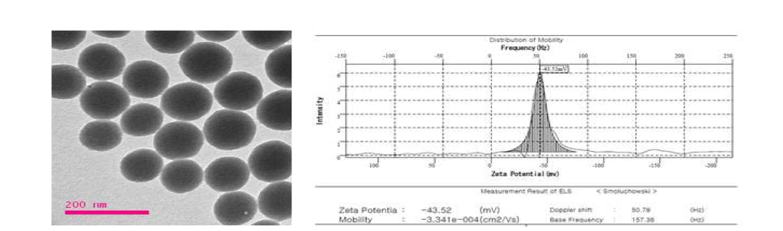 형광 실리카 SiO2ENB100,(-),RITC의 TEM 사진 및 Zeta potential 스펙트럼