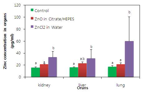 ZnOAE100,(-) 나노물질(500 mg/kg)과 Zn 이온의 경구 투여에 의한 조직분포도 결과