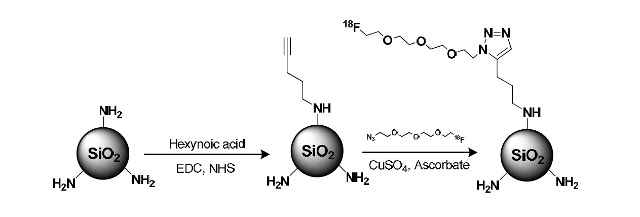 Click reaction을 이용한 실리카 나노입자에 18F 방사성동위원소 표지 과정.