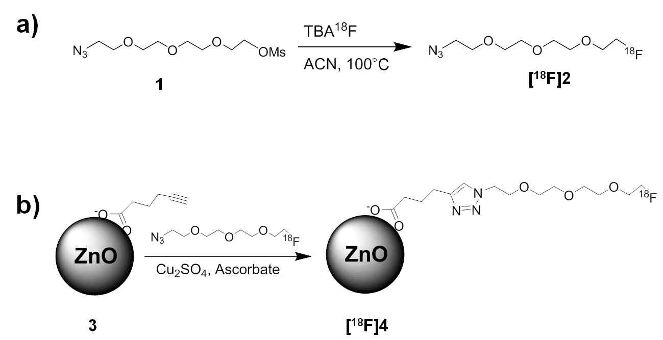 18F 표지 ZnO 나노물질 제조과정 화학적 모식도.