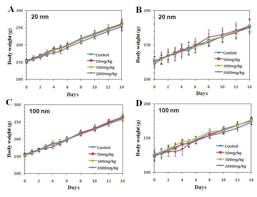 ZnO 나노물질의 단회 경구투여에 의한 male(A, C) 및 female(B, D)에서의 몸무게 변화