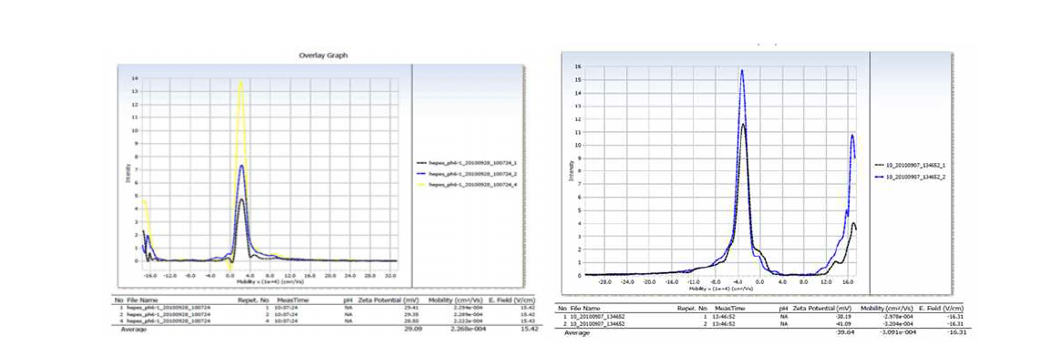 ZnOSM20,(+), ZnOSM20,(-)의 표면 전하 측정 결과